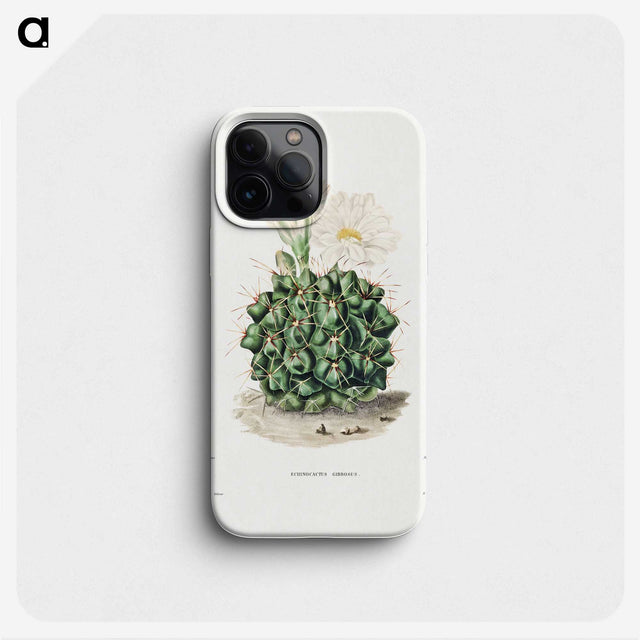 1-4_Charles-Antoine-Lemaire_phone