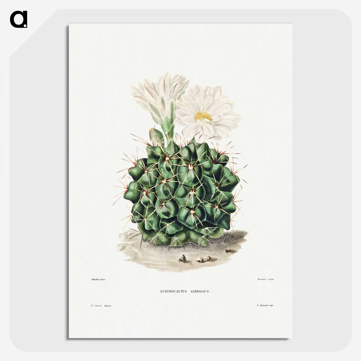 1-4_Charles-Antoine-Lemaire_picture-crop
