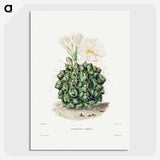 1-4_Charles-Antoine-Lemaire_picture-crop