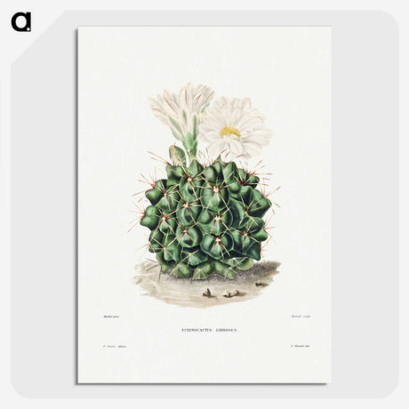 1-4_Charles-Antoine-Lemaire_picture-crop