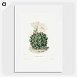 1-4_Charles-Antoine-Lemaire_picture