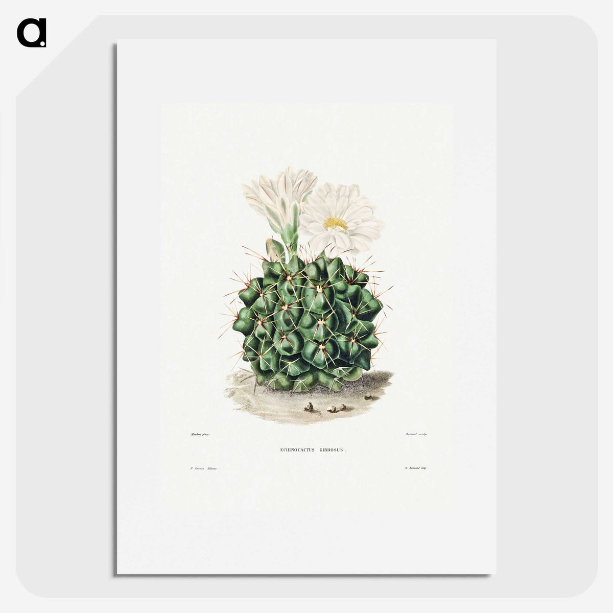 1-4_Charles-Antoine-Lemaire_picture