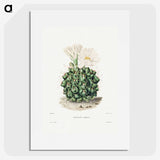 1-4_Charles-Antoine-Lemaire_picture