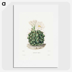 1-4_Charles-Antoine-Lemaire_picture