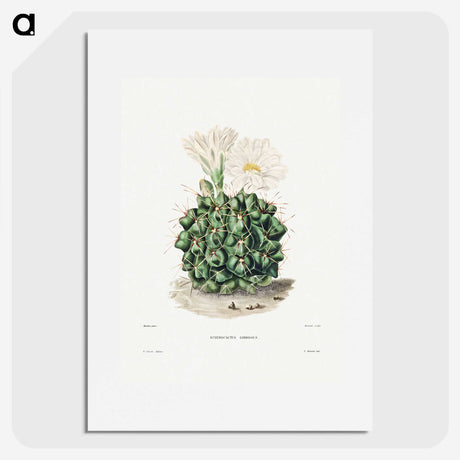 1-4_Charles-Antoine-Lemaire_picture