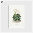 1-4_Charles-Antoine-Lemaire_postcard