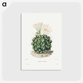 1-4_Charles-Antoine-Lemaire_postcard