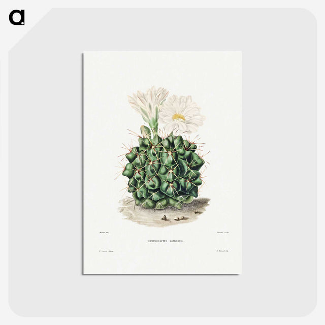 1-4_Charles-Antoine-Lemaire_postcard