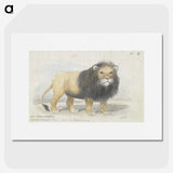 1-4_Charles-Hamilton-Smith_picture
