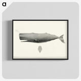 1-4_Charles-Melville-Scammon_blk-crop