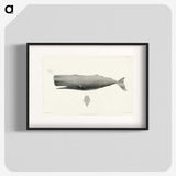 1-4_Charles-Melville-Scammon_blk