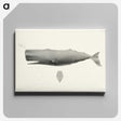 1-4_Charles-Melville-Scammon_canvas