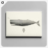 1-4_Charles-Melville-Scammon_canvas