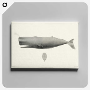 1-4_Charles-Melville-Scammon_canvas