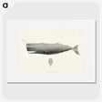 1-4_Charles-Melville-Scammon_picture
