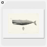 1-4_Charles-Melville-Scammon_picture