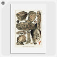 1-4_Christoffer-Wilhelm-Eckersberg_picture