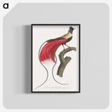 1-4_Des-Oiseaux-de-Paradis_blk-crop