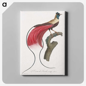 1-4_Des-Oiseaux-de-Paradis_canvas