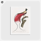 1-4_Des-Oiseaux-de-Paradis_hagaki
