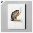 アートパネル-Griffon Vulture
 - デトロイト美術館 Canvas.