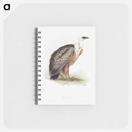 アートメモ帳-Griffon Vulture
 - デトロイト美術館 Memo.