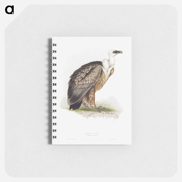 アートメモ帳-Griffon Vulture
 - デトロイト美術館 Memo.