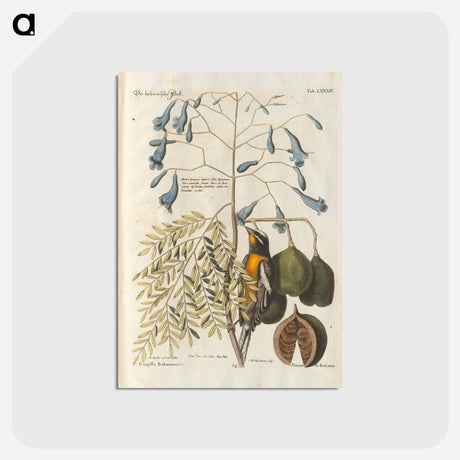 アートポストカード-Bird and plants illustration - イー ララ Postcard.
