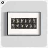 1-4_Eadweard-Muybridge_blk