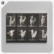 1-4_Eadweard-Muybridge_canvas