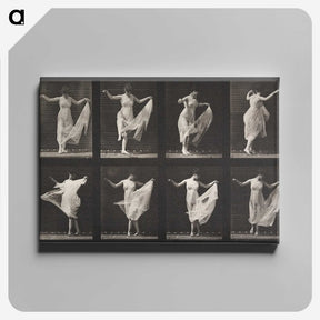 1-4_Eadweard-Muybridge_canvas