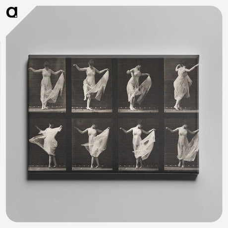 1-4_Eadweard-Muybridge_canvas