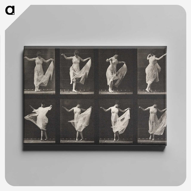 1-4_Eadweard-Muybridge_canvas