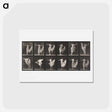 アートポストカード-Dancing
 - エドワード マイブリッジ Postcard.