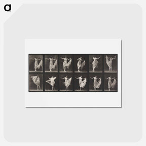アートポストカード-Dancing
 - エドワード マイブリッジ Postcard.