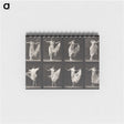 1-4_Eadweard-Muybridge_memo