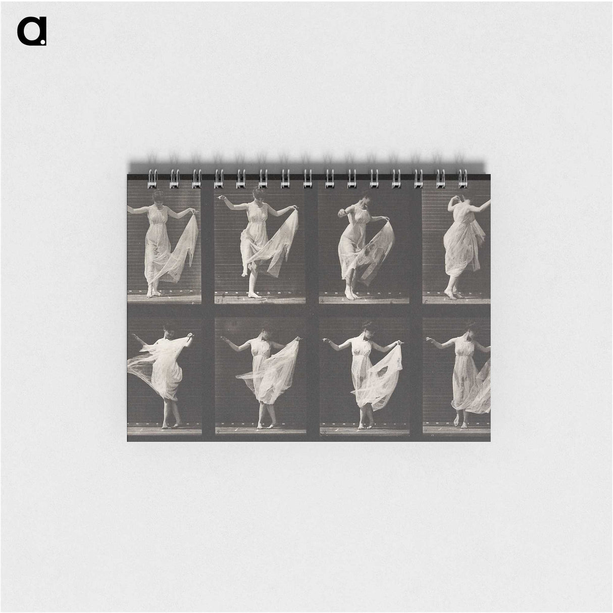 1-4_Eadweard-Muybridge_memo