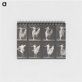 1-4_Eadweard-Muybridge_memo