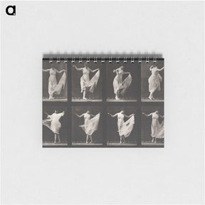 1-4_Eadweard-Muybridge_memo