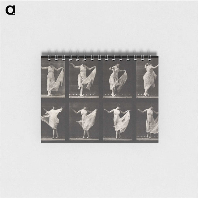 1-4_Eadweard-Muybridge_memo