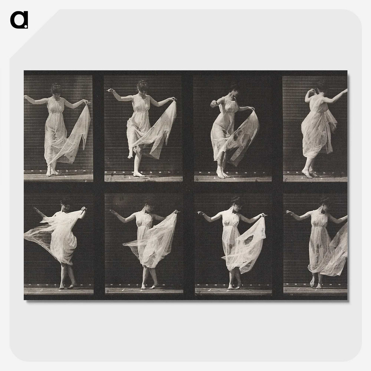 1-4_Eadweard-Muybridge_picture-crop