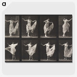 1-4_Eadweard-Muybridge_picture-crop