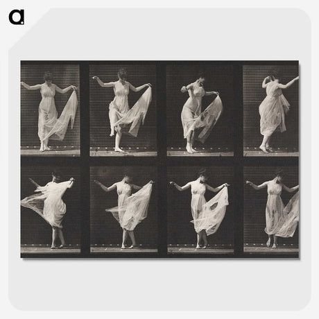 1-4_Eadweard-Muybridge_picture-crop