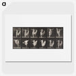 1-4_Eadweard-Muybridge_picture