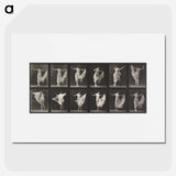 1-4_Eadweard-Muybridge_picture