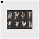 アートポストカード-Dancing
 - エドワード マイブリッジ Postcard.