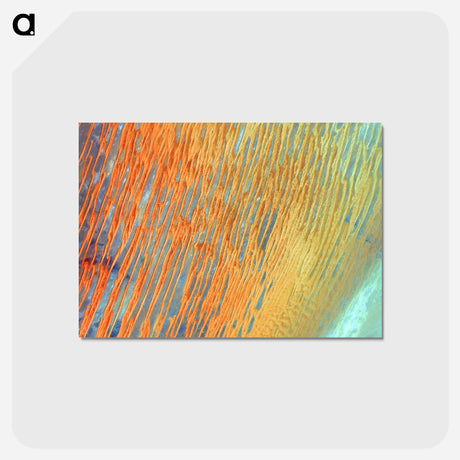 アートポストカード-Saharan Dunes at Sunset
 - 上空からの地球 Postcard.