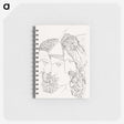 1-4_Egyptian-Grecian-and-Roman-Costumes_memo