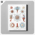1-4_Ernst-Haeckel_canvas