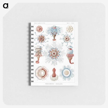 1-4_Ernst-Haeckel_memo